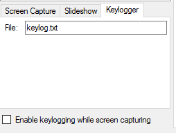 enable keylogger
